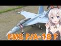 FMS F/A-18F ラジコン飛行機