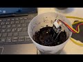 Peristaltisk doseringspumpe 12V DC, Raspberry pi pico w &amp; Capacitive Soil Moisture Sensor v2.0