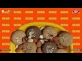 The ORGANIC COOKIE craving that you cannot resist! It’s always cookie O’clock | Caveman Cookies