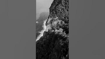 ووجدك ضالاً فهدى "سورة الضحى"الشيخ المنشاوى 🖤