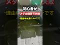 メダカ飼育の失敗はコレです。