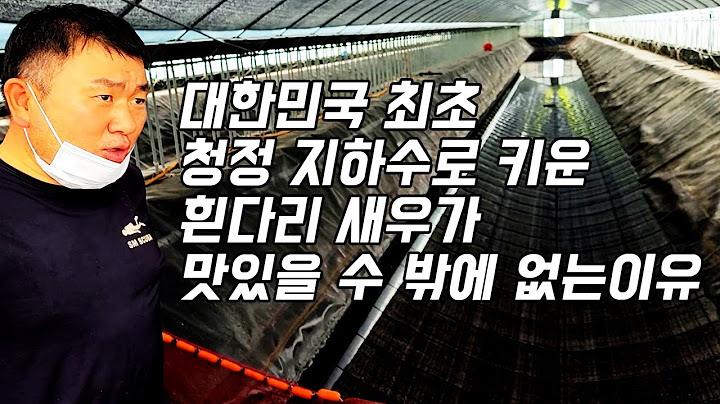 대한민국 최초 청정 지하수로 흰다리 새우 양식 성공 l 양식 전문가가 직접 연구하고 키운 새우가 맛있을 수 밖에 없는 이유 l 서천 하구둑 왕새우 l