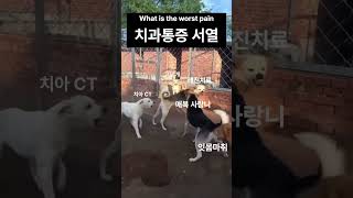 치과통증 특) 내가 한 치료가 제일 아픔 #shorts #굿윌치과병원하단 #치과통증