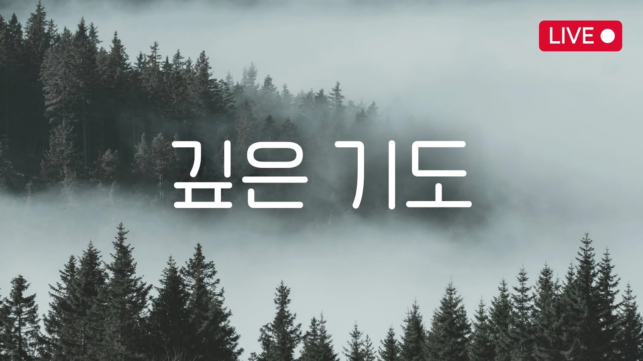 [광고없음] 깊은 기도 | 기도할 때 듣는 찬양 | 피아노 첼로 연주