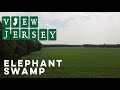 View Jersey - Elephant Swamp