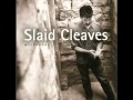 Slaid Cleaves: Drinkin Days