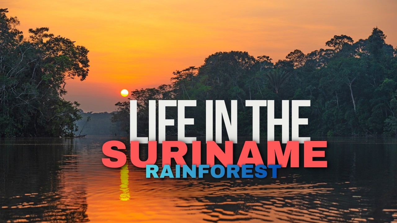 Жизнь в тропических лесах Суринама