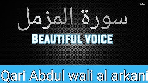 سورة المزمل بصوت الشيخ القارئ عبد الولي الاركاني