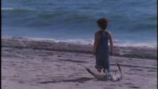 Eric Burdon - Bird On The Beach (from 1982 film &#39;Comeback&#39;)