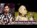 Watch Some Unknown Facts About Animals | Salam Zindagi With Faisal Qureshi. Online In HD
