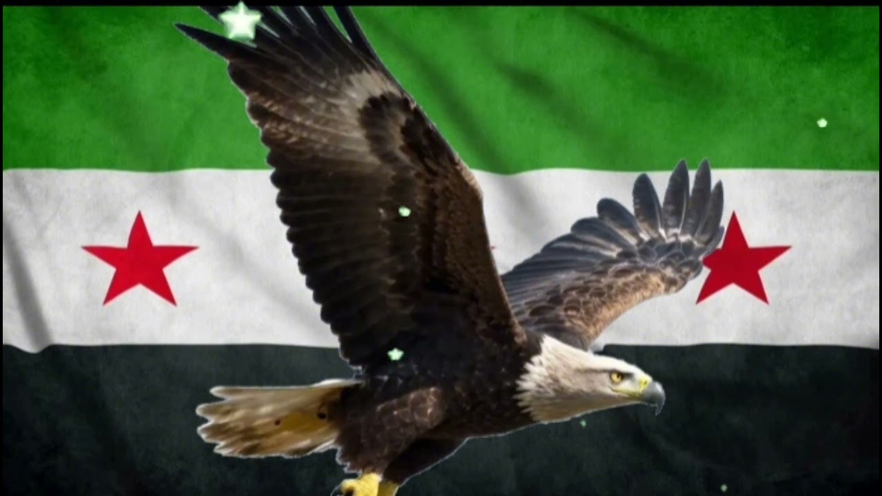 سورية رجعت حرة 