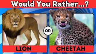 Would You Rather...? Animals Edition