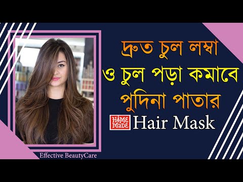 ভিডিও: লম্বা পাতাওয়ালা পুদিনা