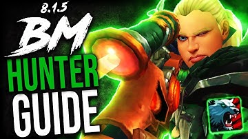 BM Hunter GUIDE for Mythic+ and WoW Raids (BFA Patch 8.1.5)