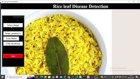 rice leaf disease detection python nd machine learning project.. frontend -tkinter.. backend -python