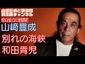 【山崎豊成】和田青児/別れの海峡【うたスキ動画】