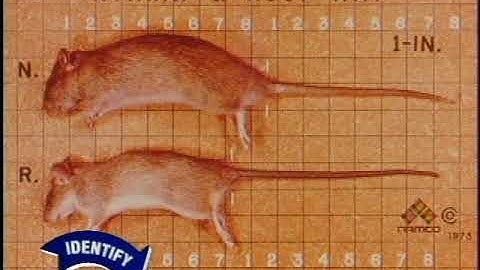 The ABCs of IPM: Structural Pest Control