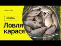 ШОК | КРУПНЫЙ КАРАСЬ КЛЮЁТ С КАЖДОГО ЗАБРОСА | Фидерная рыбалка