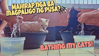 THIS IS HOW I BATHE MY CATS | PINOY STYLE by Rhambouy 64,816 views 3 years ago 6 minutes, 2 seconds