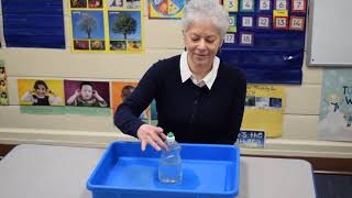 Ms. Nierstedt's rain experiment, Bauer Branch