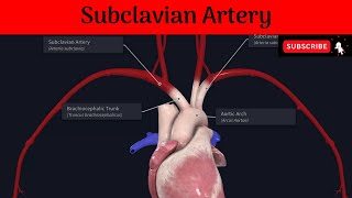 Subclavian Artery | Origin | Parts | Relations | Branches | #Anatomy #mbbs #education