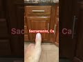 Kitchen cabinet door repair by #number2project #sacramento #furniturerepair #diyfix #furniturefix