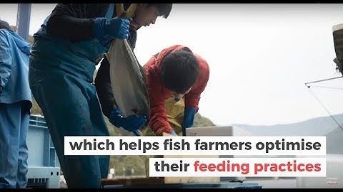 UMITRON: Farming Data to Transform Fish Farming