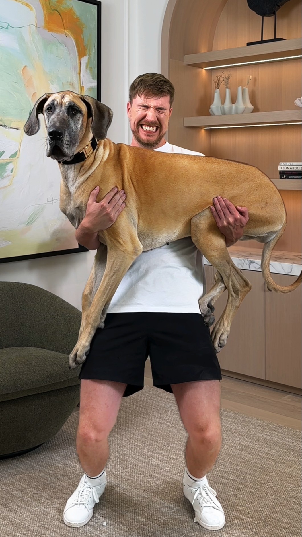 Holding Bigger And Bigger Dogs
