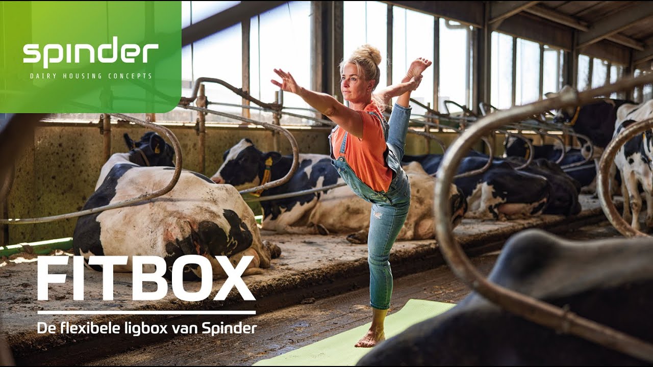 Spinder Fitbox, dé flexibele ligbox van Spinder