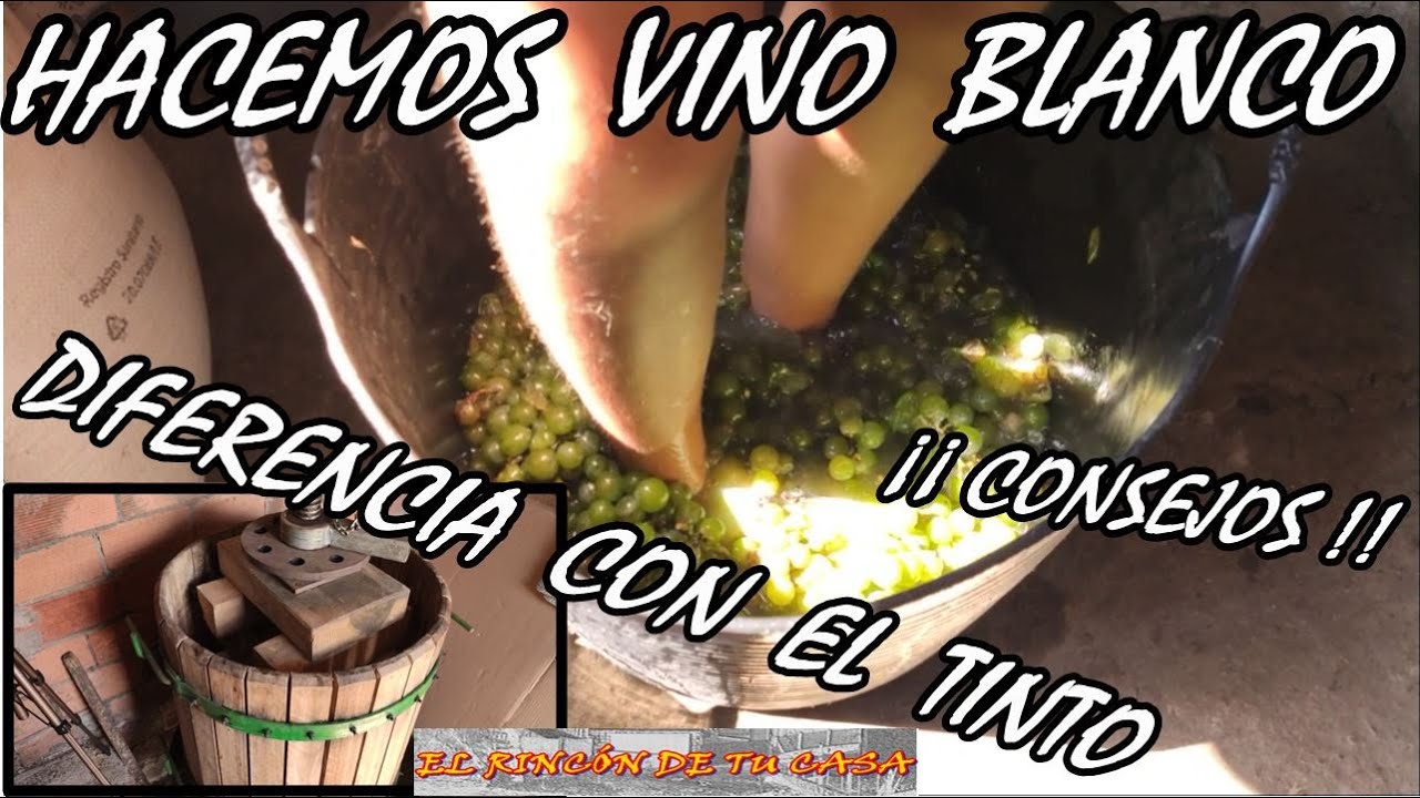 Hacer VINO BLANCO, CASERO, paso a paso.