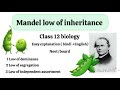 Mandel low of inheritance ||biology ||neetprep ||studybiology ||education ||science ||learnbiology