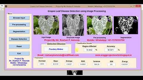 Grape Leaf Disease Detection Using Matlab Source Code