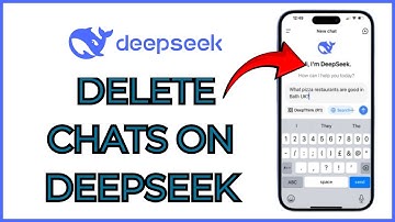 How to Delete Chats on DeepSeek AI on iPhone 2025?