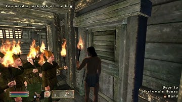 Day 421 - Killing Adoring Fan Every Day Until Elder Scrolls Skyblivion is Released