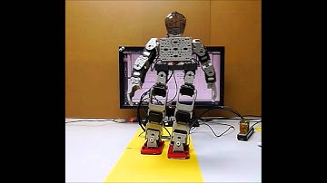 NeuraBASE - Learning of a Bipedal Robot in Walking and Balancing