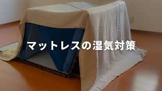 【マットレスのカビ予防】ベッドなしで暮らすミニマリストの湿気対策