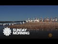 Nature: Florida's Ten Thousand Islands