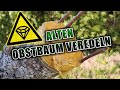 Alten Obstbaum veredeln | Apfelbaum pfropfen