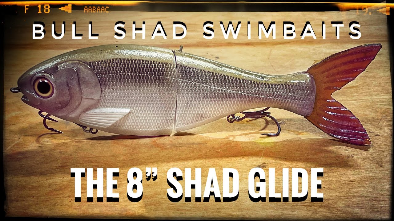 The BULLSHAD 8 Shad Glide (The COMPLETE walk around) 