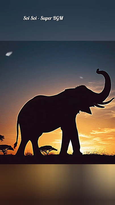 Soi Soi BGM #dimman #bgmtamil #soisoi #kumki #bgmvibes #musicvibes #whatsappstatus #shorts