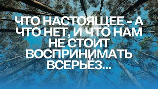 Что настоящее - а что нет, и что нам не стоит воспринимать всерьёз…