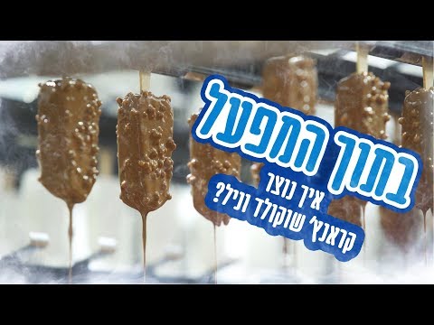 וִידֵאוֹ: מה מפיל הכת המטורפת?