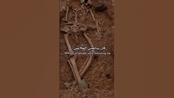 #قرآن_كريم_راحة_نفسية_ارح_سمعك_وقلبك #baby #المصحف #قران_كريم_راحه_نفسيه #اكسبلور #cute #تلاوة_خاشعة