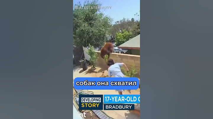 Девушка прогнала медведя #новости #шортс #news #новини #shorts #short #медведь #девушка