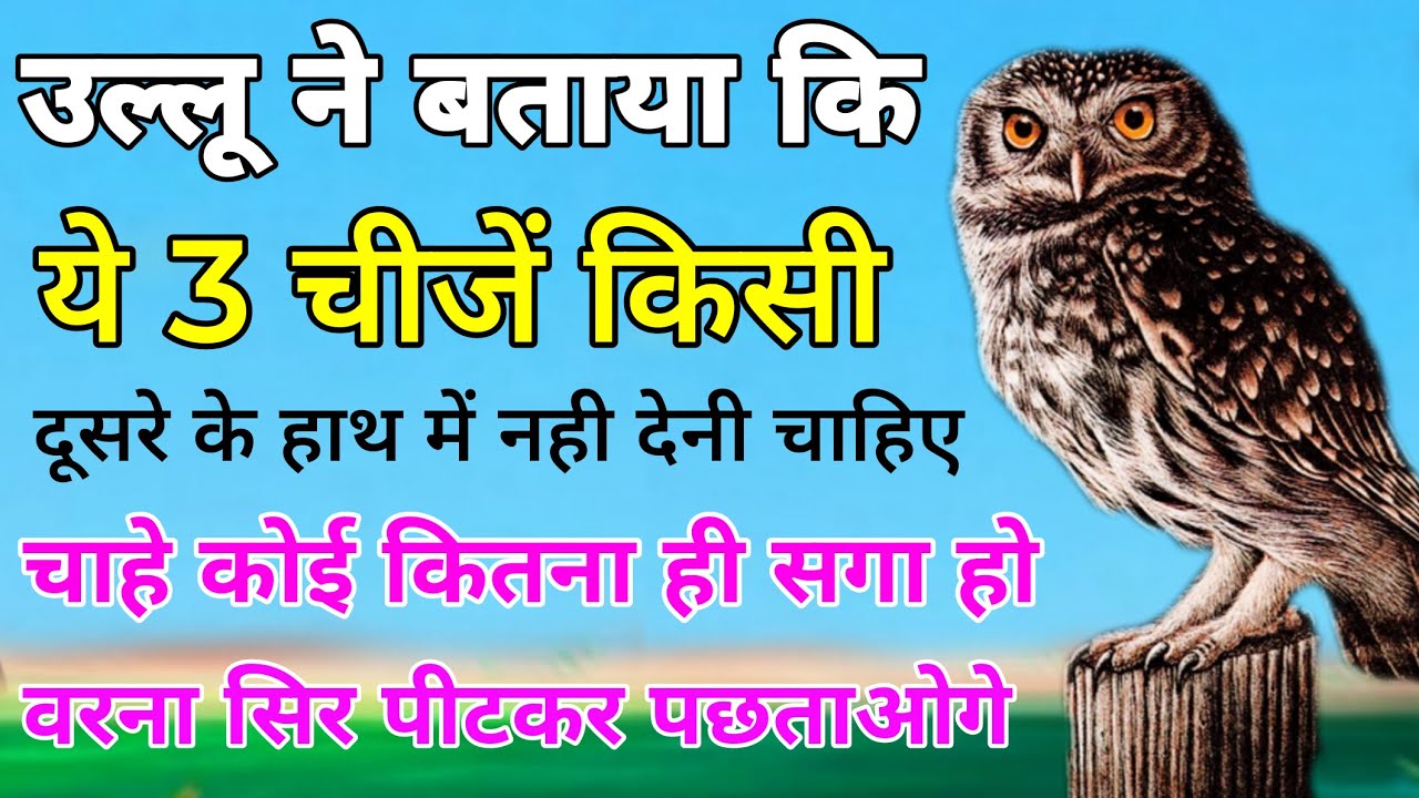 उल्लू ने बताया कि ये 3 चीजें किसी दूसरे के हाथ में नही देनी चाहिए || चाहे कोई कितना ही सगा हो,