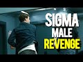Sigma male revenge  compilation