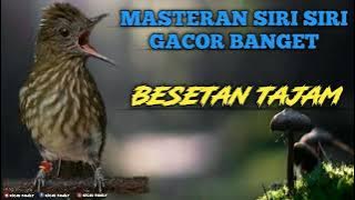 🔴MASTERAN SIRI-SIRI GACOR TEMBAKAN TAJAM RAPAT MEWAH ‼️