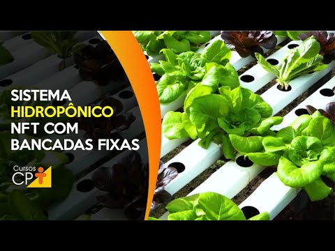 Clique e veja o vídeo Como funciona o sistema hidropônico com fime de nutrientes de bancadas fixas