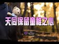 讀懂十四主星的心裡話 | 天同保留童稚之心►國際紫微學會&大耕老師◄簡單上手斗數命盤