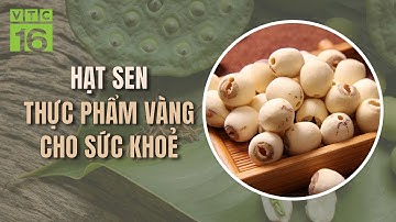 Công dụng hạt sen mà ít người biết tới | VTC16